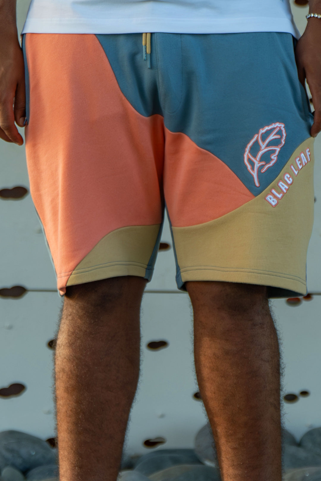 Colorblock Patch Shorts