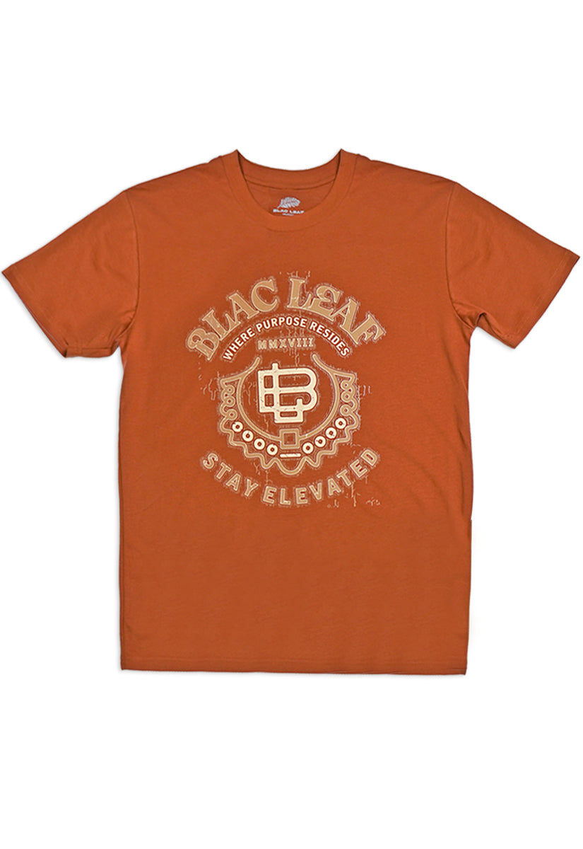 Stay Elevated Domestic T-Shirt Rust Color