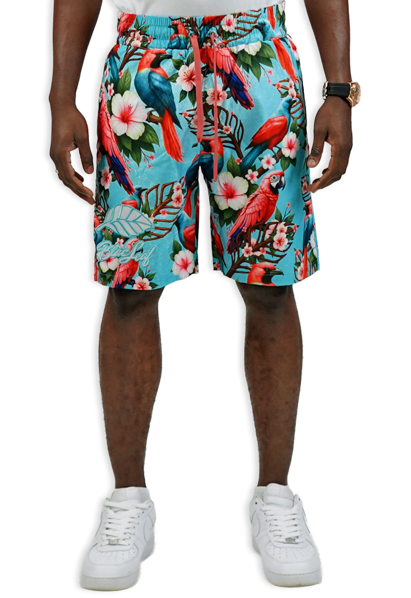 Tropical Arrangement AOP Short