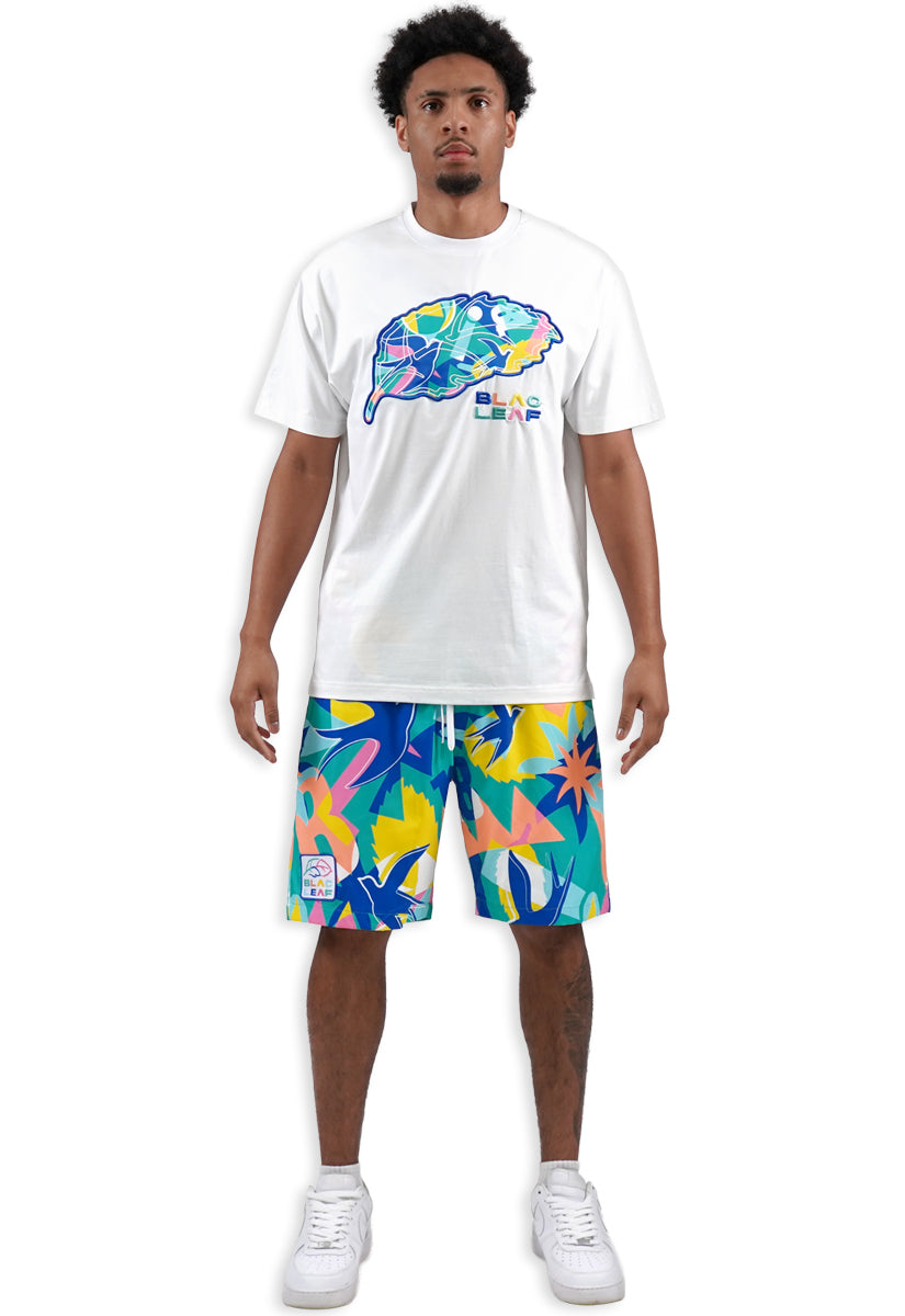 Soar Beyond Limits AOP Shorts