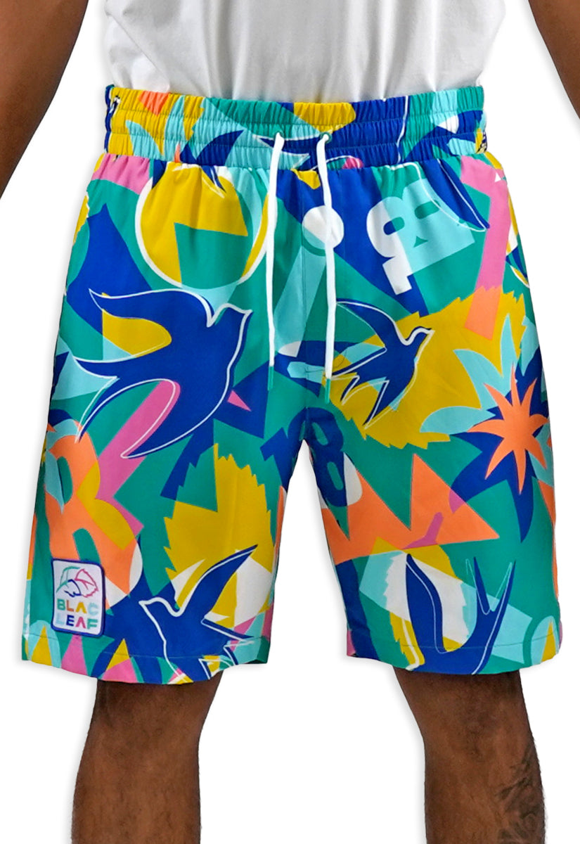 Soar Beyond Limits AOP Shorts – Blac Leaf