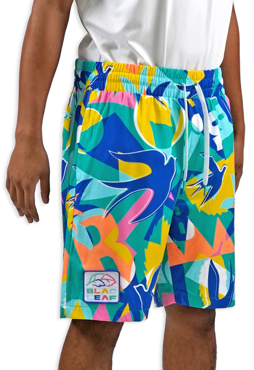 Soar Beyond Limits AOP Shorts