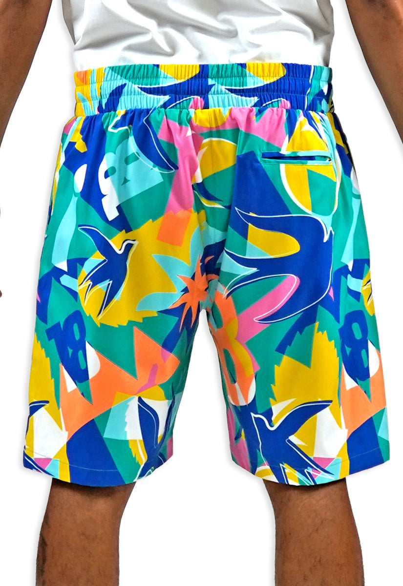 Soar Beyond Limits AOP Shorts