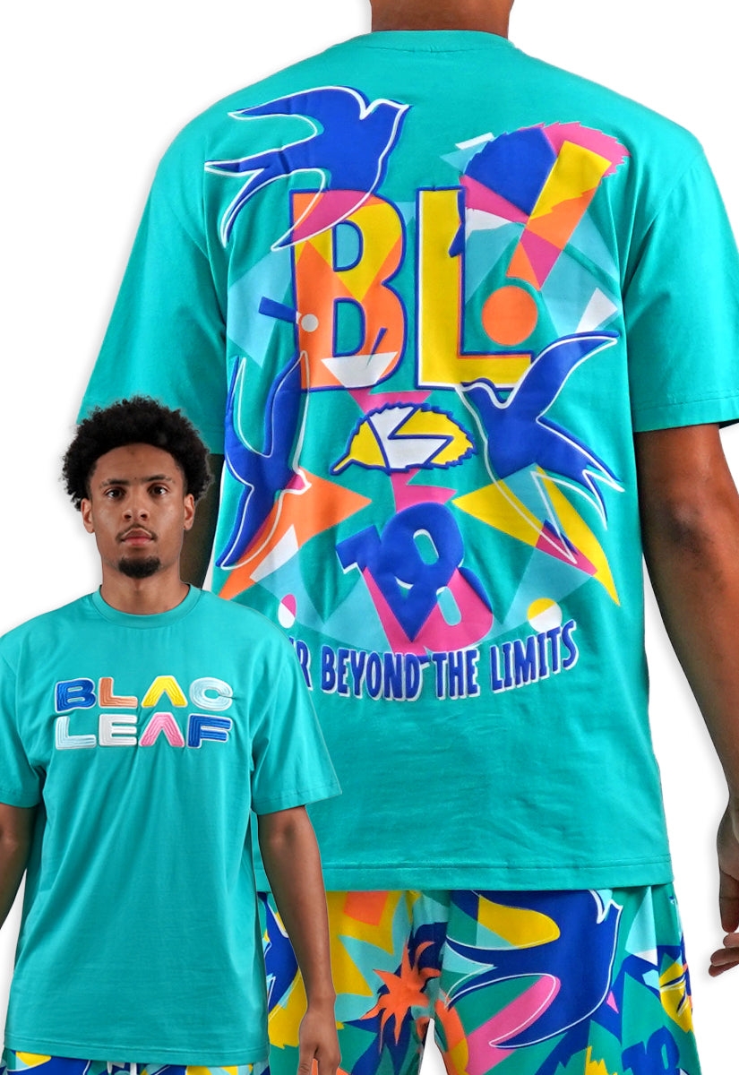 Soar Beyond Limits T-Shirt