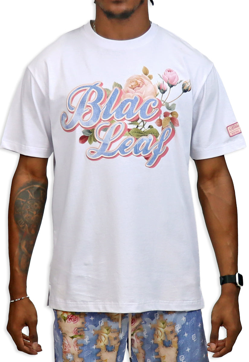 Dream Without Limits