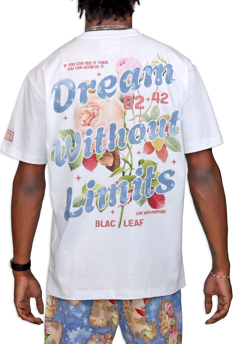 Dream Without Limits