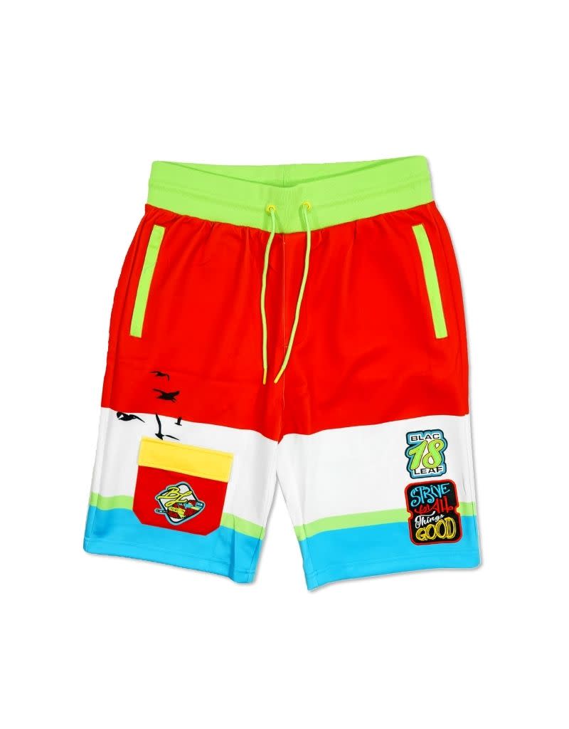 All Things Good Colorblock Patch Vacation Shorts