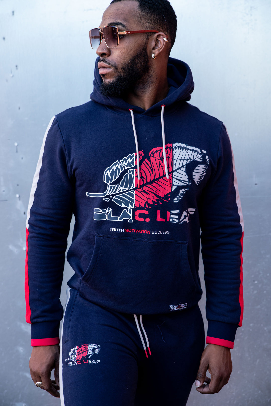 Basic Q Series Hoodie Red White And Blue