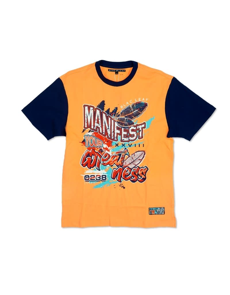 Manifest Your Greatness Shirt